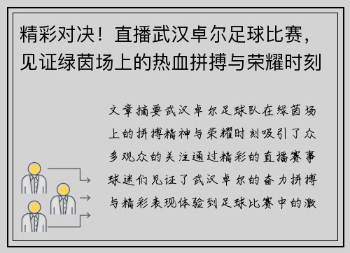 精彩对决！直播武汉卓尔足球比赛，见证绿茵场上的热血拼搏与荣耀时刻